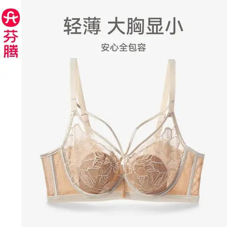 芬腾文胸女大胸显小上托防下垂内衣女款性感蕾丝聚拢薄款透气胸罩商品大图