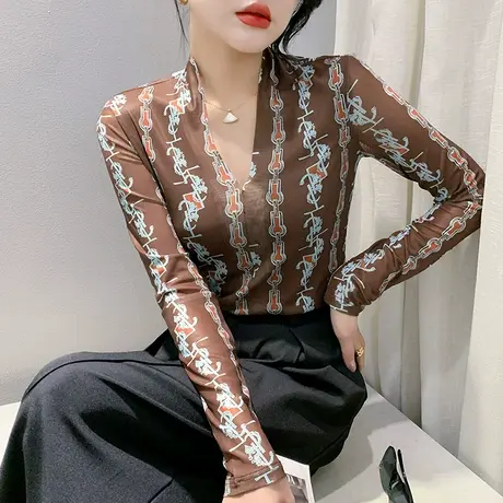 性感网纱T恤女长袖2023秋季新款复古气质印花上衣内搭显瘦打底衫商品大图