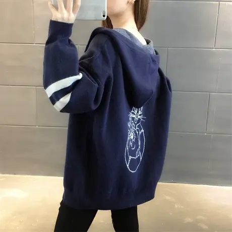 毛衣2024年新款女装春秋季春款春装女士针织开衫宽松百搭外穿爆款图片