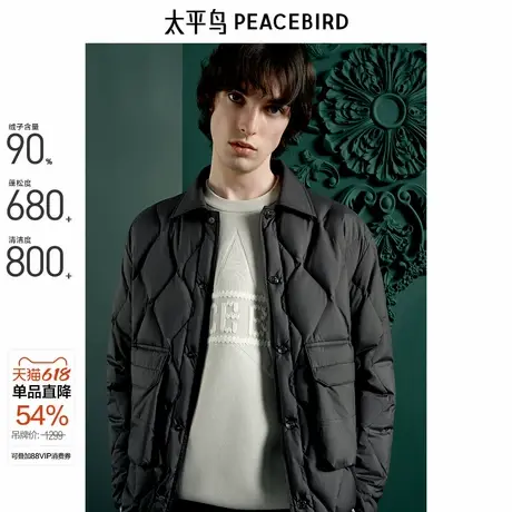 【商场同款】太平鸟男装 Daria ong联名合作系列羽绒服B1ACE4918商品大图