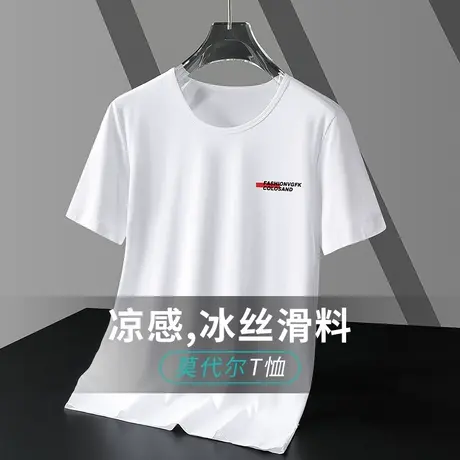 莫代尔t恤男短袖夏季潮流冰丝凉感速干半袖潮牌字母印花圆领体恤图片