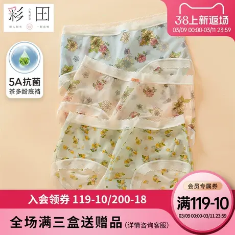 彩田2023夏季新款印花轻薄透气茶多酚抗菌底裆蕾丝女士中腰三角裤商品大图