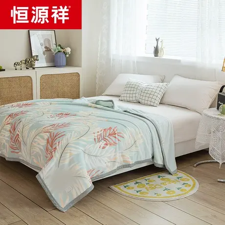 恒源祥香格里拉绒毯四季可用图片