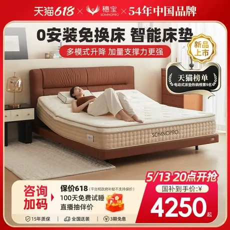穗宝智能床多功能现代简约双人高端按摩记忆棉床垫 东方梦·云端图片
