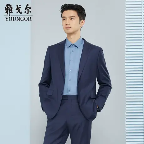 【商场同款】雅戈尔男士西服春季商务休闲正装西装外套S1920图片