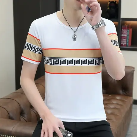 冰丝体恤2023新款夏装薄款韩版短袖冰感短袖t恤时髦潮流帅气男装商品大图