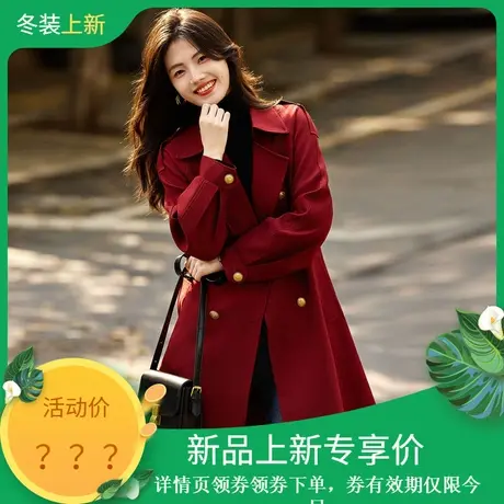 时尚毛呢大衣2023年冬季新款翻领加棉厚款收腰知性温柔中长款外套图片