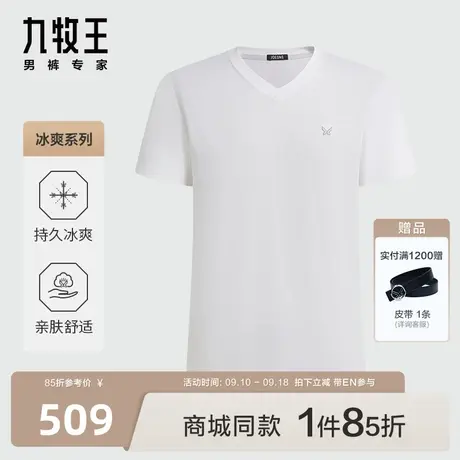 [商场同款]九牧王男装JT2C20817短袖T恤23夏季新款凉感冰爽亲肤EN图片