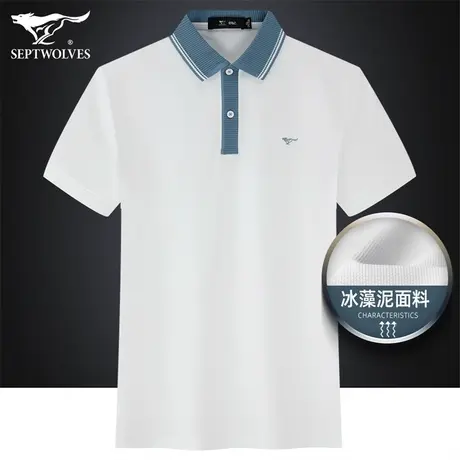 七匹狼狼族生活翻领短袖T恤男夏季潮流时尚透气商务休闲POLO衫男商品大图
