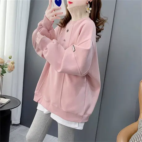 设计感刺绣加绒加厚高领卫衣女2022年新款秋冬宽松小个子百搭外套商品大图