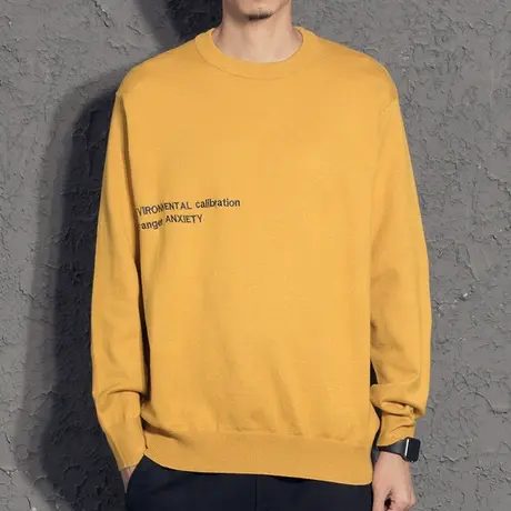 奕飏字母刺绣简约男士秋冬毛衣休闲百搭针织衫圆领套头打底上衣潮商品大图