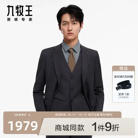 [商场同款]九牧王男装JX1C70211西装23秋冬新款舒适通勤便西SN图片