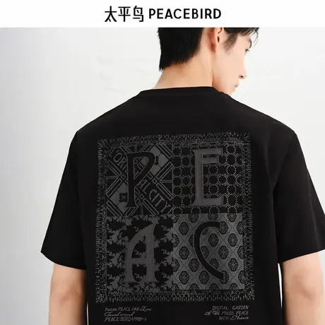 【商场同款】太平鸟男装T恤25秋季新款重磅印绣短袖潮 B1CNF3120商品大图