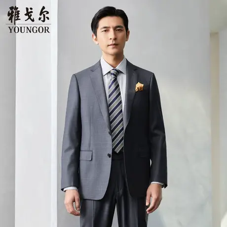 【商场同款】雅戈尔男士西服商务休闲进口面料纯羊毛西装男S2071图片