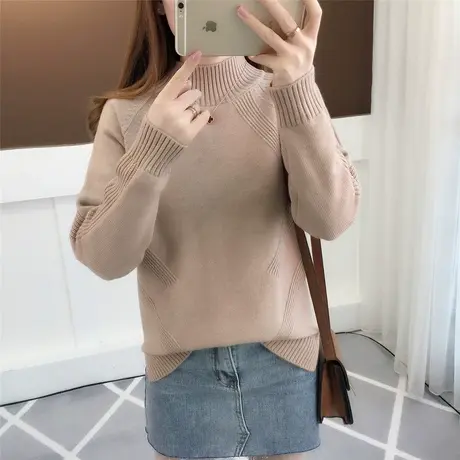 慵懒秋冬洋气女士新款半高领加厚保暖套头毛衣针织打底衫上衣女装图片