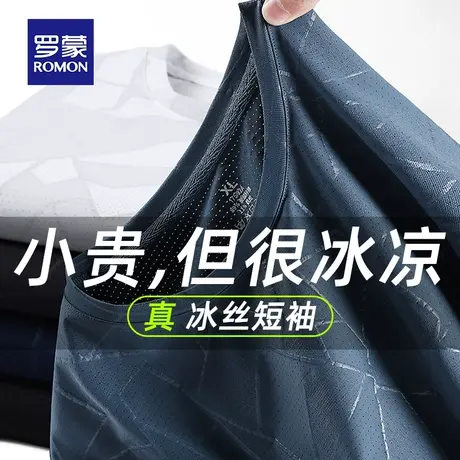 罗蒙男士冰丝短袖T恤夏季薄款网眼速干衣服休闲运动跑步健身体恤图片