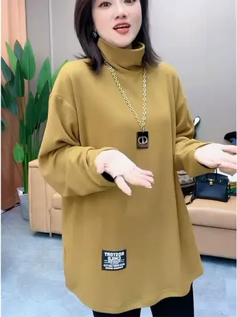 欧洲站休闲宽松绒感加厚长袖T恤2023秋冬新款时髦简约百搭打底衫图片