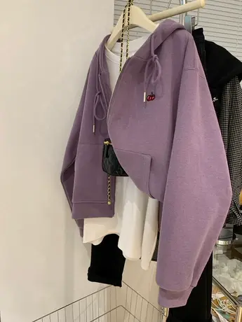 高级感法式连帽卫衣外套女韩版气质别致慵懒风拉链开衫带帽上衣潮商品大图