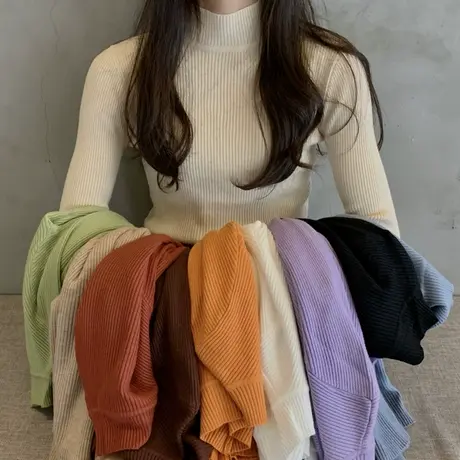 复古高级感针织毛衣chic韩风小众秋冬内搭上衣ins潮半高领打底衫图片