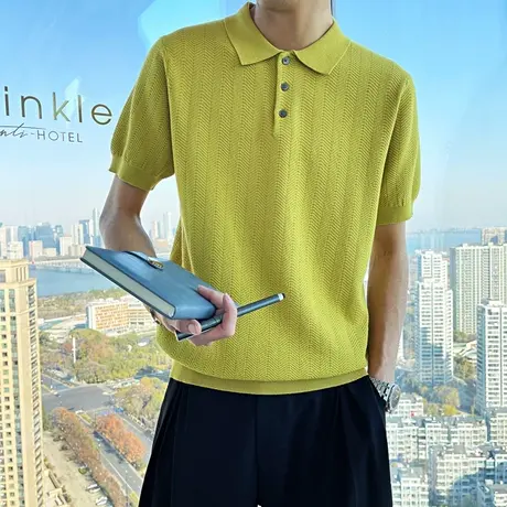 夏季短袖POLO衫男ins韩版简约轻熟风纯色纹理上衣翻领半袖针织T恤商品大图