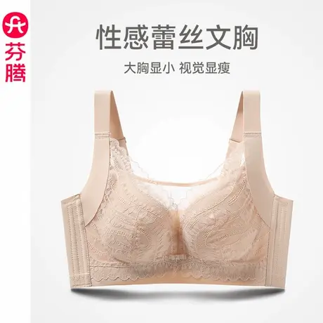 芬腾女士内衣大胸显小性感蕾丝文胸舒适全罩杯上托薄款收副乳胸罩图片