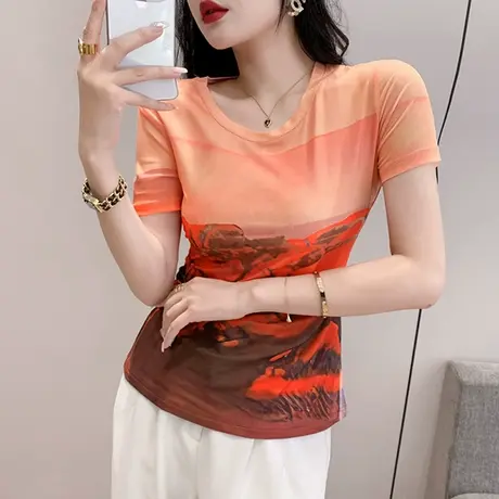 欧货拼色印花T恤女短袖时尚洋气圆领小衫别致修身网纱上衣ins夏装图片