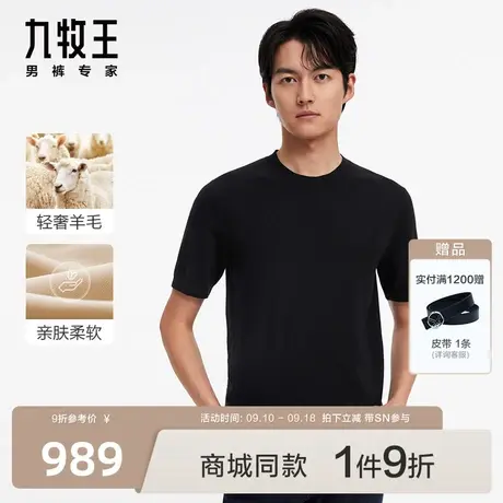 [羊毛系列]九牧王男装JT2C40427短袖T恤23秋商场同款圆领上衣男图片