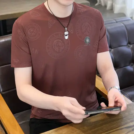 2024夏季新款冰丝短袖T恤男士潮流时尚休闲百搭半截袖体恤衫上衣图片