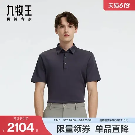 九牧王男装JT2D25610短袖体恤2024秋季新品商务休闲舒适透气上衣图片