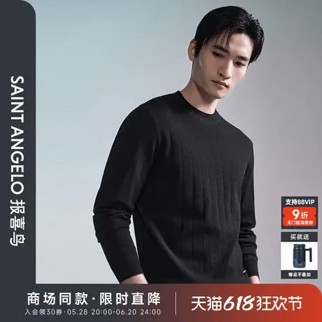 【商场同款】报喜鸟2024秋季新款男士商务休闲长袖羊毛衫圆领上衣图片