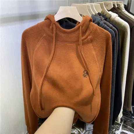 欧货连帽德绒加厚卫衣女2021秋冬新款长袖时尚保暖内搭休闲上衣潮图片
