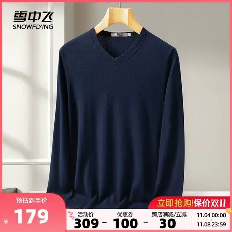 雪中飞2023秋冬新款男100纯羊毛衫休闲百搭时尚V领长袖针织衫舒适图片