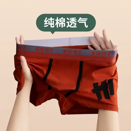 运动纯棉男士内裤男平角裤男生透气短裤潮流裤衩薄款男式四角裤头商品大图