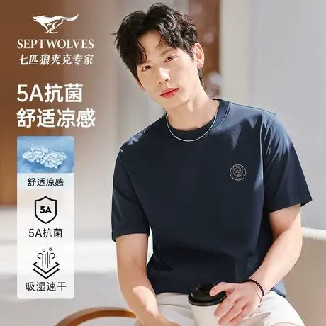 七匹狼夏季短袖圆领T恤男装2025夏季新款上衣男士休闲时尚潮流男t图片
