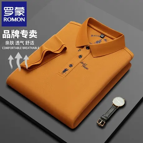 罗蒙高端刺绣POLO衫男士短袖t恤夏季薄款休闲翻领中年半袖体恤N2Z图片