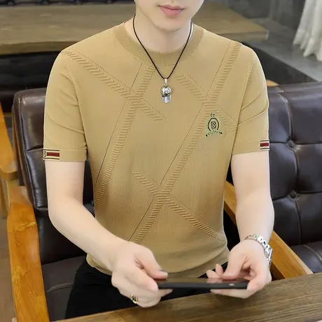 2024新款针织短袖T恤男款夏季高端修身冰丝圆领休闲体恤衫百搭潮商品大图