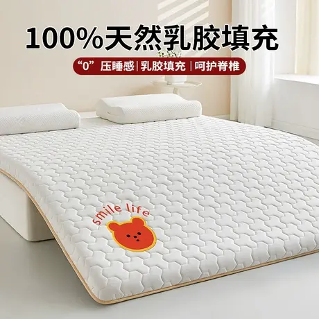 雅鹿乳胶记忆棉床垫遮盖物家用卧室软垫宿舍学生单人租房专用床褥商品大图