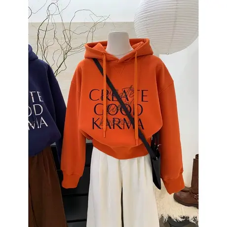 美式ins潮牌卫衣女加绒加厚秋冬装韩版宽松显瘦连帽外套短款上衣商品大图