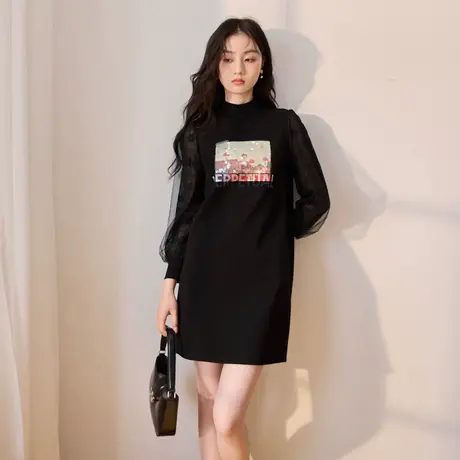 Q1093796图片