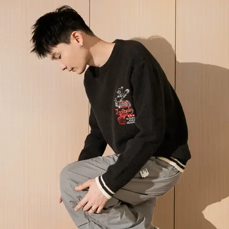 唐狮新款毛衣（男女同码）图片