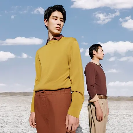 【商场同款】红豆亲肤100毛衣男冬季休闲贴身穿针织衫圆领羊毛衫图片