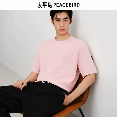 【商场同款】太平鸟男装 2025年秋季新款针织短袖T恤男B1EEF3124商品大图