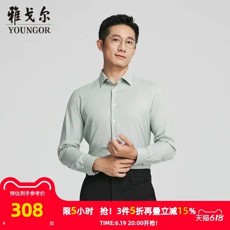 【商场同款】雅戈尔男士长袖衬衫春秋新款官方商务休闲免烫衬衫男商品大图