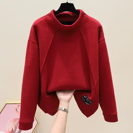 半高领爆款卫衣加绒加厚上衣女秋冬设计感小众2023年新款宽松卫衣图片