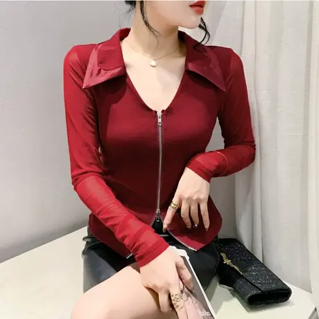 性感V领T恤女春装小众设计感洋气上衣显瘦百搭网纱长袖拉链开衫潮图片