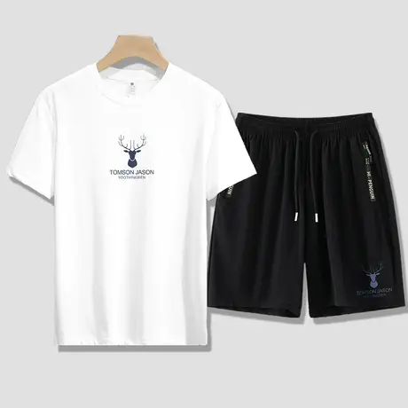 冰丝男士套装夏季2024新款凉感短袖t恤速干运动短裤子直筒五分裤图片