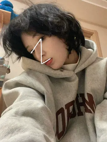 ulzzang大码灰色连帽卫衣女秋bf慵懒风加绒外套潮ins小众宽松上衣商品大图