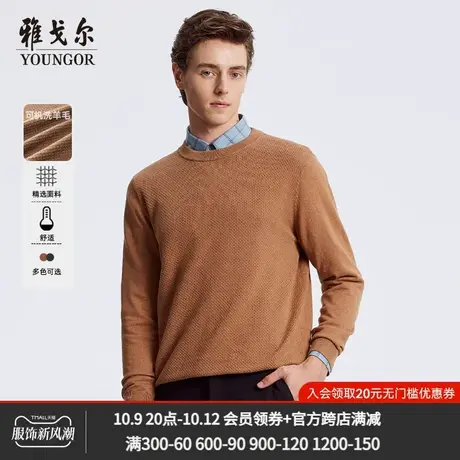 雅戈尔奥莱 23秋季新品男士羊毛混纺商务毛衫保暖圆领套头上衣商品大图