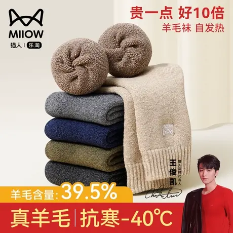 猫人羊毛袜子男士加厚加绒德冬季防寒发热男袜防臭抑菌毛圈地板袜图片