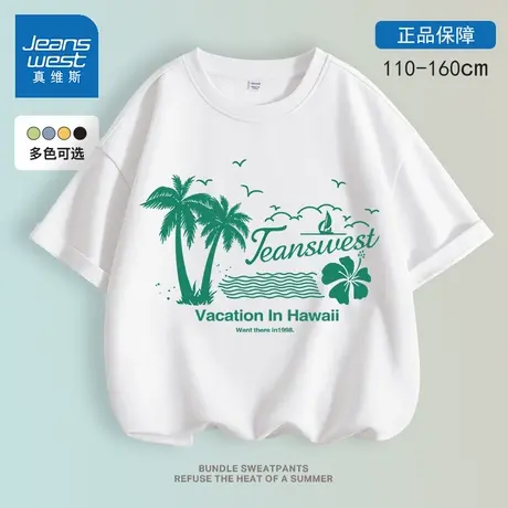 真维斯男童短袖T恤夏季薄款纯棉夏装外穿中大童体恤半袖儿童上衣商品大图